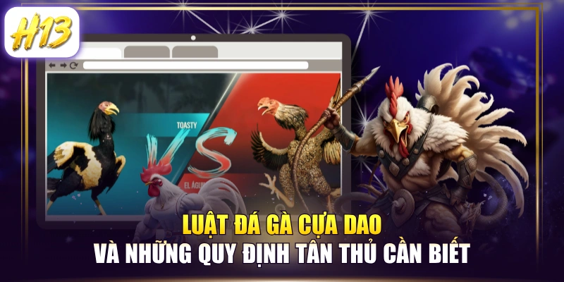 Luật Đá Gà Cựa Dao Và Những Quy Định Tân Thủ Cần Biết