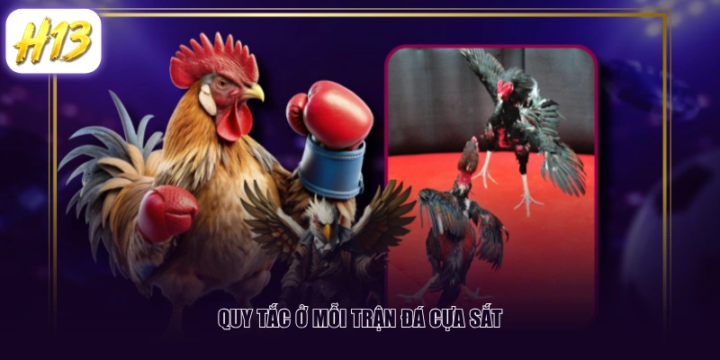 Quy tắc ở mỗi trận đá cựa sắt