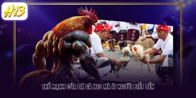 Thế mạnh của đá gà H13 mà ít người biết đến